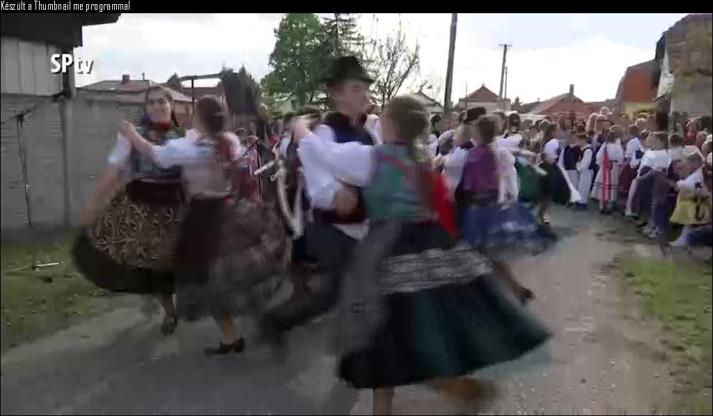 Májusfa Állítása